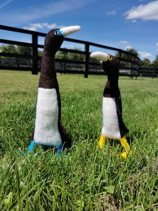New Wool Sculptures