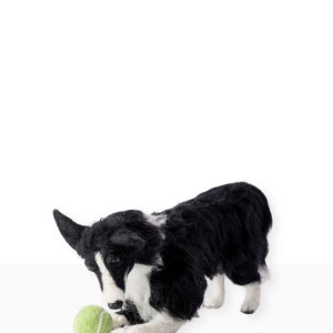 Border Collie Sculpture